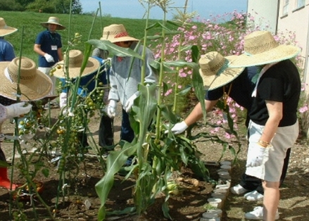 農作業